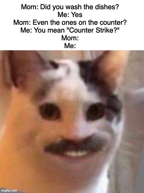 Counter Strike |  Mom: Did you wash the dishes?
Me: Yes
Mom: Even the ones on the counter?
Me: You mean "Counter Strike?"
Mom:
Me: | image tagged in cat,counter strike,counterstrike,dishes,mom | made w/ Imgflip meme maker