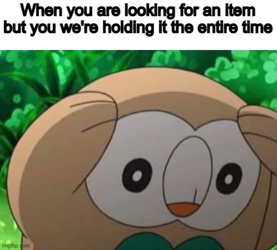wtf is wrong with me | When you are looking for an item but you we're holding it the entire time | image tagged in panicked rowlet | made w/ Imgflip meme maker