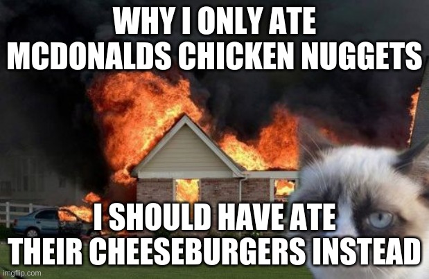 I should have ate McDonalds | WHY I ONLY ATE MCDONALDS CHICKEN NUGGETS; I SHOULD HAVE ATE THEIR CHEESEBURGERS INSTEAD | image tagged in memes,burn kitty,grumpy cat | made w/ Imgflip meme maker