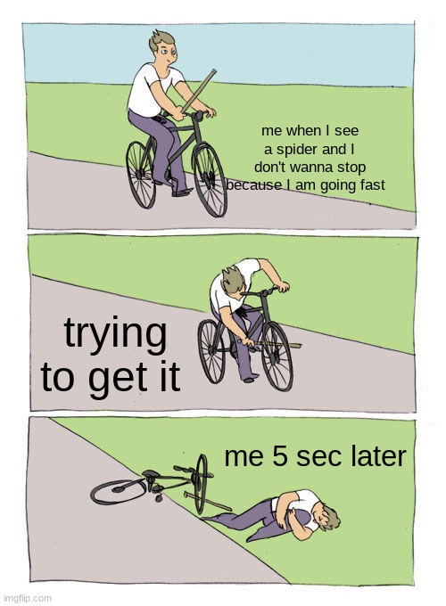 Bike Fall | me when I see a spider and I don't wanna stop because I am going fast; trying to get it; me 5 sec later | image tagged in memes,bike fall | made w/ Imgflip meme maker