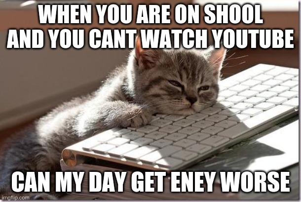 Bored Keyboard Cat | WHEN YOU ARE ON SHOOL AND YOU CANT WATCH YOUTUBE; CAN MY DAY GET ENEY WORSE | image tagged in bored keyboard cat | made w/ Imgflip meme maker