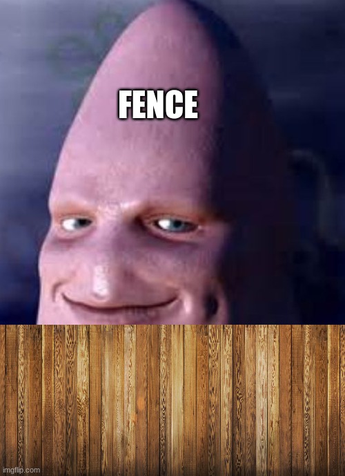 patrick | FENCE | image tagged in patrick | made w/ Imgflip meme maker