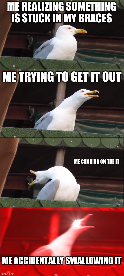 If you have braces | ME REALIZING SOMETHING IS STUCK IN MY BRACES; ME TRYING TO GET IT OUT; ME CHOKING ON THE IT; ME ACCIDENTALLY SWALLOWING IT | image tagged in memes,inhaling seagull | made w/ Imgflip meme maker