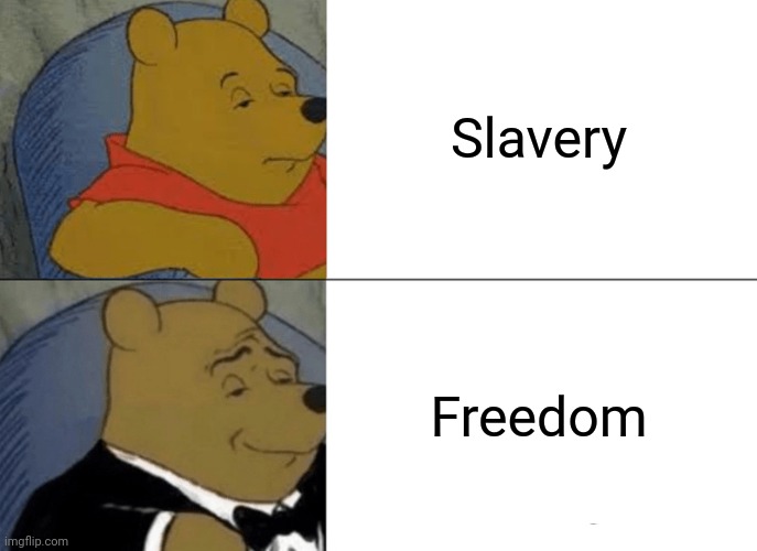 Tuxedo Poo | Slavery; Freedom | image tagged in memes,tuxedo winnie the pooh | made w/ Imgflip meme maker