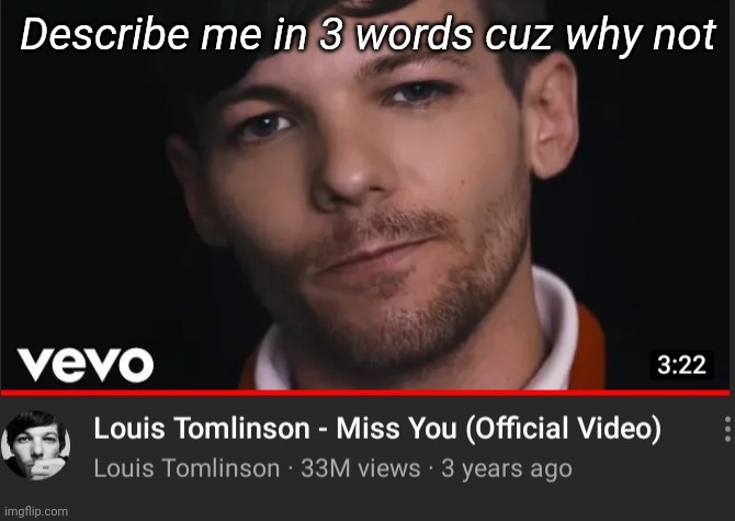 Describe me in 3 words cuz why not | made w/ Imgflip meme maker