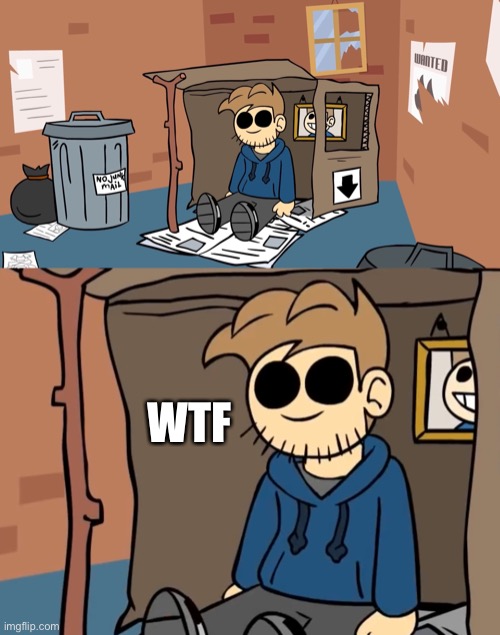 WTF | image tagged in tom homeless | made w/ Imgflip meme maker