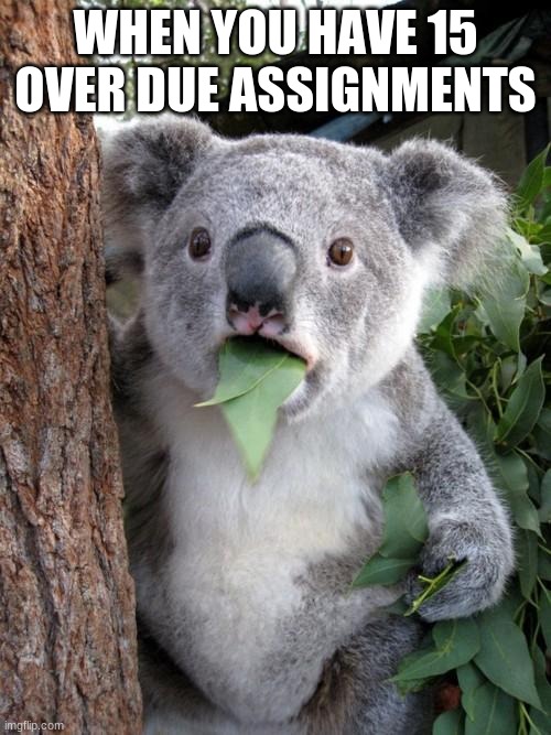 WHYYYYY | WHEN YOU HAVE 15 OVER DUE ASSIGNMENTS | image tagged in memes,surprised koala | made w/ Imgflip meme maker
