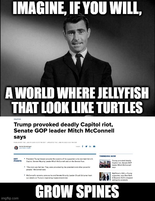We really are in the Twilight Zone | IMAGINE, IF YOU WILL, A WORLD WHERE JELLYFISH THAT LOOK LIKE TURTLES; GROW SPINES | image tagged in rod serling twilight zone,memes,politics,maga,lock him up,aoc | made w/ Imgflip meme maker