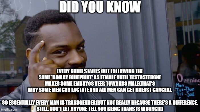 I almost died when I found out | DID YOU KNOW; EVERY CHILD STARTS OUT FOLLOWING THE SAME 'BINARY BLUEPRINT' AS FEMALE UNTIL TESTOSTERONE MAKES SOME EMBRYOS VEER TOWARDS MALE(THAT'S WHY SOME MEN CAN LACTATE AND ALL MEN CAN GET BREAST CANCER).
 
SO ESSENTIALLY EVERY MAN IS TRANSGENDER(BUT NOT REALLY BECAUSE THERE'S A DIFFERENCE. STILL, DON'T LET ANYONE TELL YOU BEING TRANS IS WRONG!!!) | image tagged in memes | made w/ Imgflip meme maker