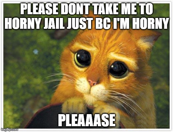 Shrek Cat | PLEASE DONT TAKE ME TO HORNY JAIL JUST BC I'M HORNY; PLEAAASE | image tagged in memes,shrek cat | made w/ Imgflip meme maker