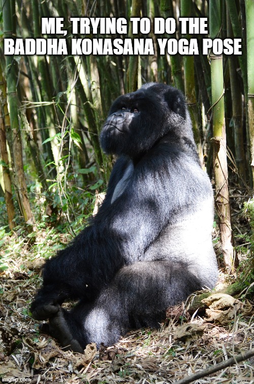 Yoga Pose: Gorilla