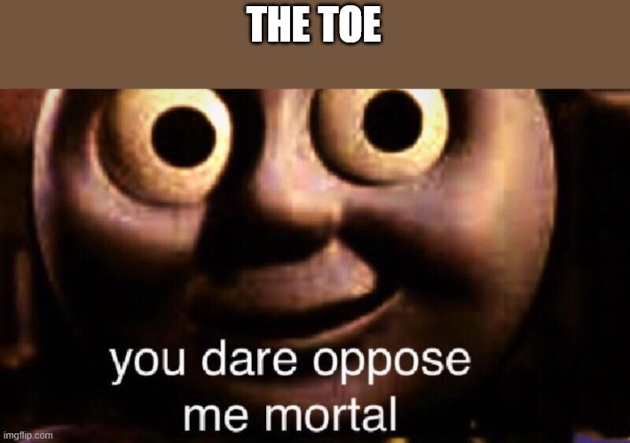 You dare oppose me mortal | THE TOE | image tagged in you dare oppose me mortal | made w/ Imgflip meme maker