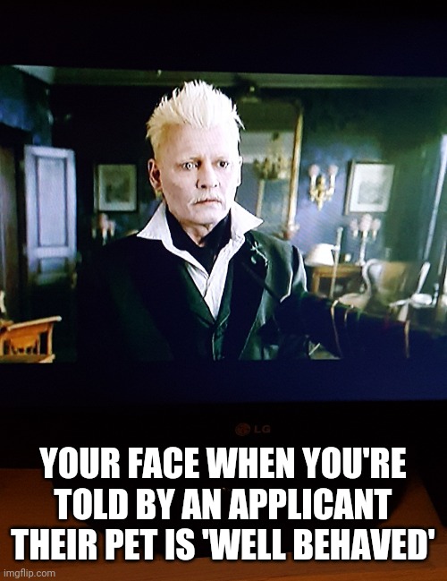 Real estate pet | YOUR FACE WHEN YOU'RE TOLD BY AN APPLICANT THEIR PET IS 'WELL BEHAVED' | image tagged in grinderwald | made w/ Imgflip meme maker