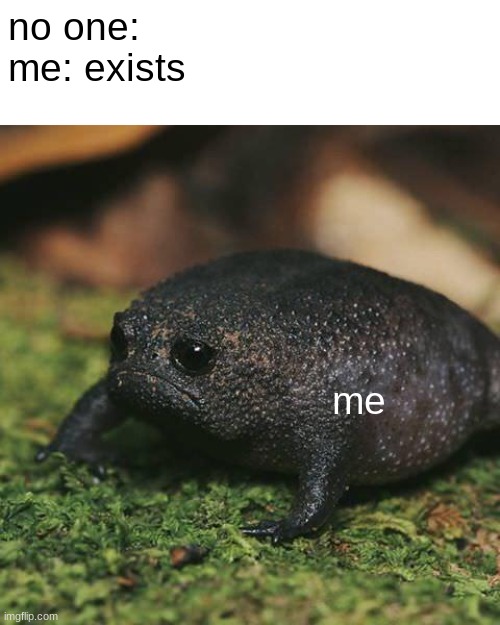 my life story | no one:
me: exists; me | image tagged in sad toad | made w/ Imgflip meme maker