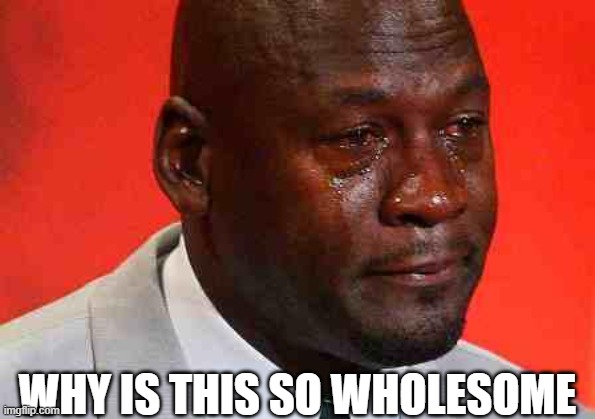 crying michael jordan | WHY IS THIS SO WHOLESOME | image tagged in crying michael jordan | made w/ Imgflip meme maker