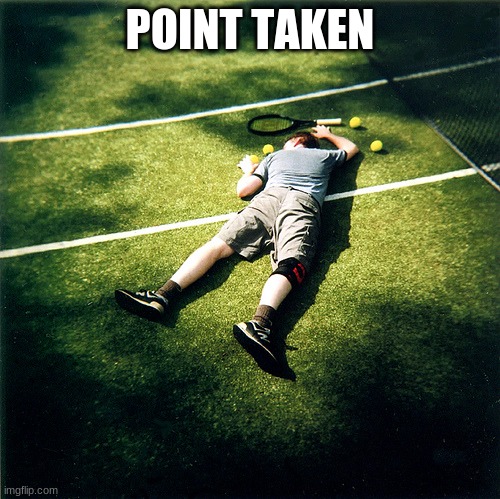 Tennis Defeat Meme | POINT TAKEN | image tagged in memes,tennis defeat | made w/ Imgflip meme maker