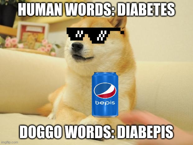 King of Bepis | HUMAN WORDS: DIABETES; DOGGO WORDS: DIABEPIS | image tagged in memes,doge 2 | made w/ Imgflip meme maker
