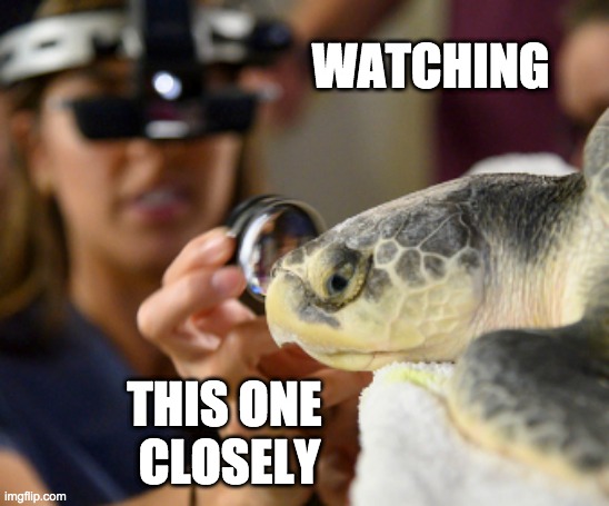 WATCHING THIS ONE 
CLOSELY | made w/ Imgflip meme maker