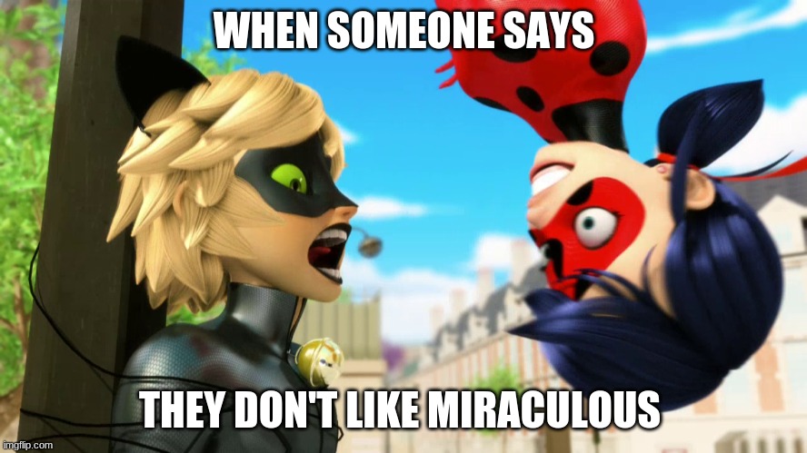 When Someone Says They Don't Like Miraculous |  WHEN SOMEONE SAYS; THEY DON'T LIKE MIRACULOUS | image tagged in mlb,miraculous ladybug | made w/ Imgflip meme maker