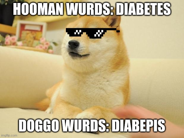 Only doggos will understand | HOOMAN WURDS: DIABETES; DOGGO WURDS: DIABEPIS | image tagged in memes,doge 2 | made w/ Imgflip meme maker
