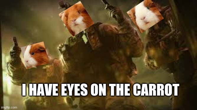 operator pigs return |  I HAVE EYES ON THE CARROT | image tagged in guinea pig,spetznaz,rainbow six siege,veggies | made w/ Imgflip meme maker