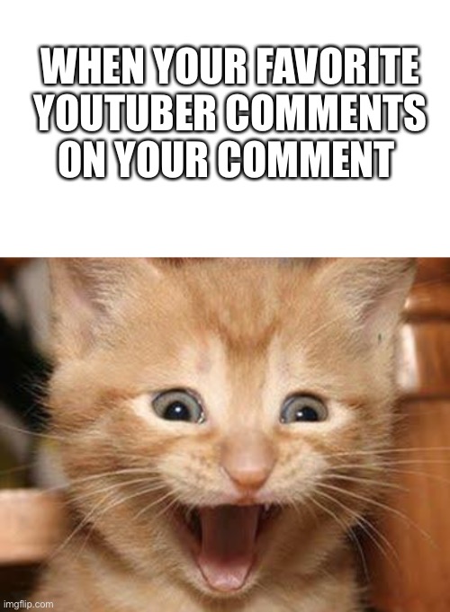 So true | WHEN YOUR FAVORITE YOUTUBER COMMENTS ON YOUR COMMENT | image tagged in blank white template,memes,excited cat,funny,funny meme,relatable | made w/ Imgflip meme maker