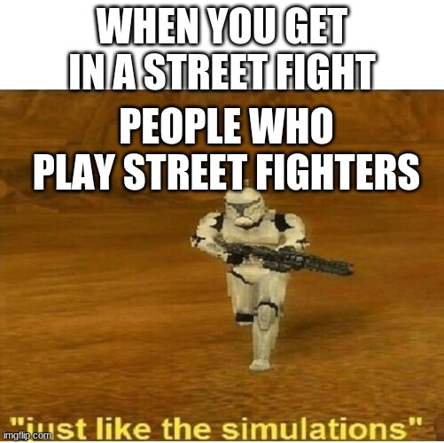 they gonna die | WHEN YOU GET IN A STREET FIGHT; PEOPLE WHO PLAY STREET FIGHTERS | image tagged in just like the simulations,memes,funny memes | made w/ Imgflip meme maker