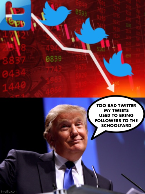 Twitter and Facebook collectively lost over $51 BILLION in value because of their bans | TOO BAD TWITTER 
MY TWEETS 
USED TO BRING 
FOLLOWERS TO THE 
SCHOOLYARD | image tagged in donald trump no2,twitter,facebook | made w/ Imgflip meme maker