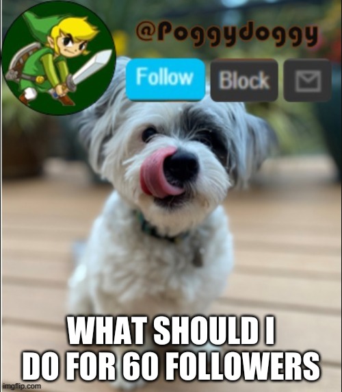poggydoggy announcment | WHAT SHOULD I DO FOR 60 FOLLOWERS | image tagged in poggydoggy announcment | made w/ Imgflip meme maker