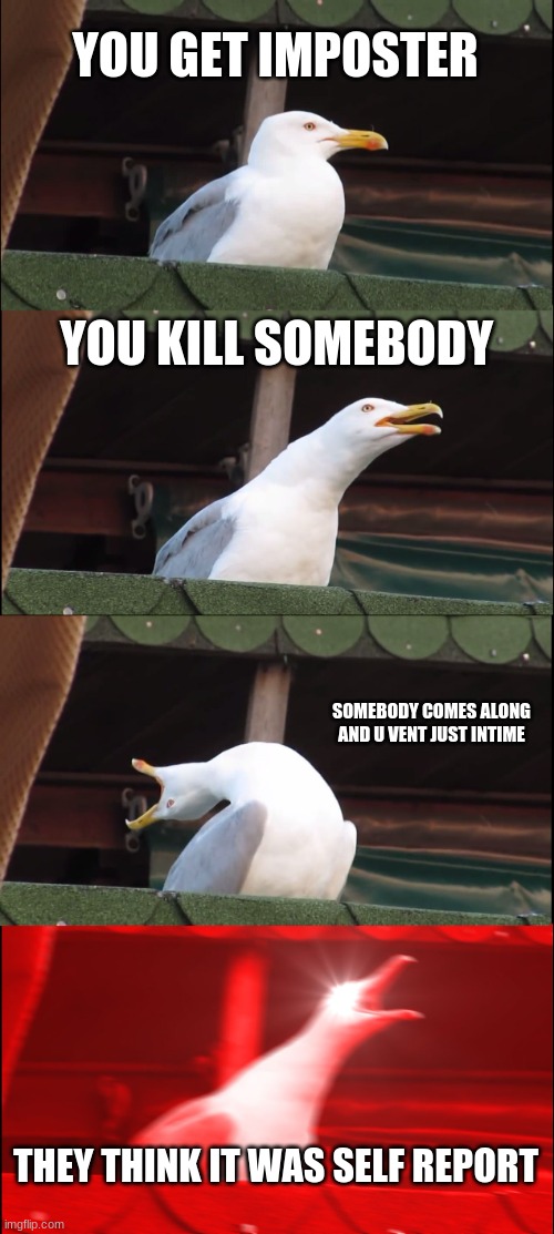 Inhaling Seagull | YOU GET IMPOSTER; YOU KILL SOMEBODY; SOMEBODY COMES ALONG AND U VENT JUST INTIME; THEY THINK IT WAS SELF REPORT | image tagged in memes,inhaling seagull | made w/ Imgflip meme maker