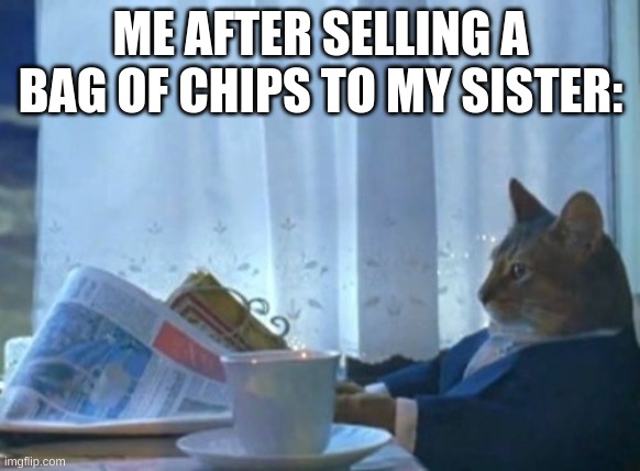 im a man of business | ME AFTER SELLING A BAG OF CHIPS TO MY SISTER: | image tagged in memes,i should buy a boat cat,cats,entrepreneur | made w/ Imgflip meme maker