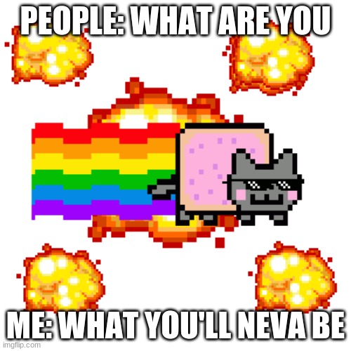 Nyan cat meme | PEOPLE: WHAT ARE YOU; ME: WHAT YOU'LL NEVA BE | image tagged in nyan cat | made w/ Imgflip meme maker