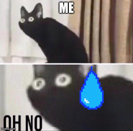 Oh no cat | ME | image tagged in oh no cat | made w/ Imgflip meme maker