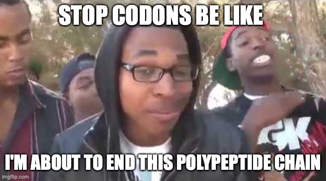 Stop Codons be like | STOP CODONS BE LIKE; I'M ABOUT TO END THIS POLYPEPTIDE CHAIN | image tagged in i'm about to end this man's whole career | made w/ Imgflip meme maker