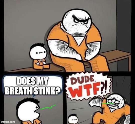 Dude wtf | DOES MY BREATH STINK? | image tagged in dude wtf | made w/ Imgflip meme maker