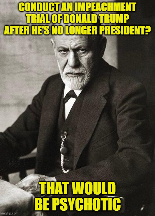 Freud | CONDUCT AN IMPEACHMENT TRIAL OF DONALD TRUMP AFTER HE'S NO LONGER PRESIDENT? THAT WOULD BE PSYCHOTIC | image tagged in freud,donald trump,impeachment trial | made w/ Imgflip meme maker