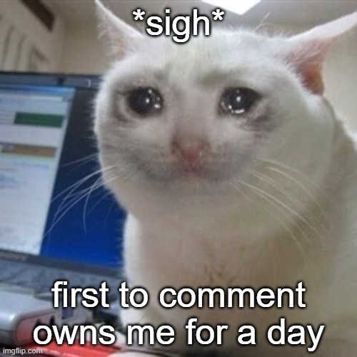 sigh | *sigh*; first to comment owns me for a day | image tagged in crying cat | made w/ Imgflip meme maker