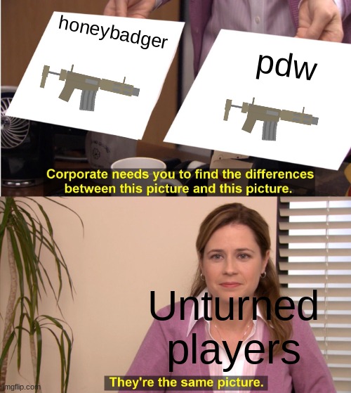 They're The Same Picture | honeybadger; pdw; Unturned players | image tagged in memes,they're the same picture,unturned | made w/ Imgflip meme maker