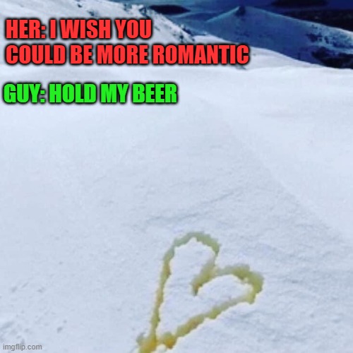Romantic | HER: I WISH YOU COULD BE MORE ROMANTIC; GUY: HOLD MY BEER | image tagged in romance,piss,hold my beer | made w/ Imgflip meme maker