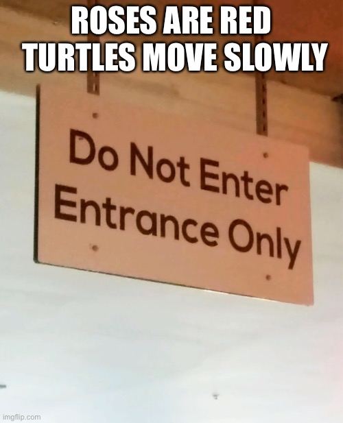 So, entrance or exit | ROSES ARE RED; TURTLES MOVE SLOWLY | image tagged in design fails,memes,funny,sign,rhymes | made w/ Imgflip meme maker