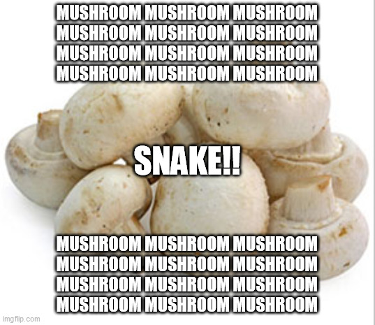 MUSHROOM MUSHROOM MUSHROOM
MUSHROOM MUSHROOM MUSHROOM
MUSHROOM MUSHROOM MUSHROOM
MUSHROOM MUSHROOM MUSHROOM; SNAKE!! MUSHROOM MUSHROOM MUSHROOM
MUSHROOM MUSHROOM MUSHROOM
MUSHROOM MUSHROOM MUSHROOM
MUSHROOM MUSHROOM MUSHROOM | image tagged in memes | made w/ Imgflip meme maker