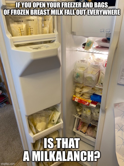 milkalanch breast milk avalanch | IF YOU OPEN YOUR FREEZER AND BAGS OF FROZEN BREAST MILK FALL OUT EVERYWHERE; IS THAT A MILKALANCH? | image tagged in breast milk,meme,memes,funny,avalanch | made w/ Imgflip meme maker