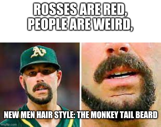 Ew | ROSSES ARE RED,
PEOPLE ARE WEIRD, NEW MEN HAIR STYLE: THE MONKEY TAIL BEARD | image tagged in weird,beard | made w/ Imgflip meme maker