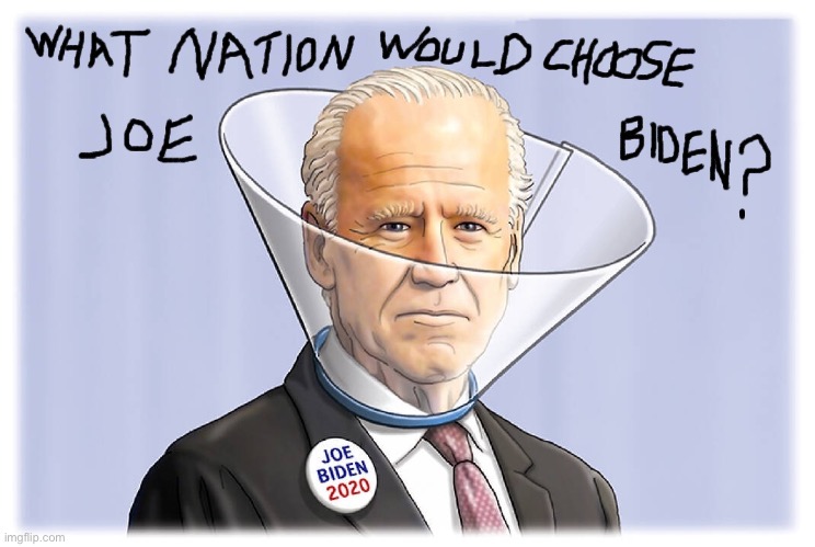 BIDEN FOOL | image tagged in biden fool | made w/ Imgflip meme maker