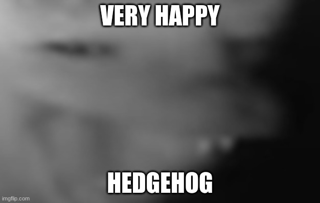 hedgehog | VERY HAPPY; HEDGEHOG | image tagged in happy hedgehog | made w/ Imgflip meme maker