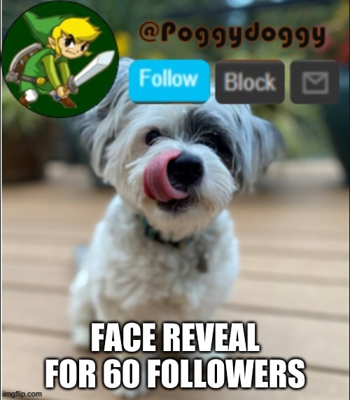 poggydoggy announcment | FACE REVEAL FOR 60 FOLLOWERS | image tagged in poggydoggy announcment | made w/ Imgflip meme maker