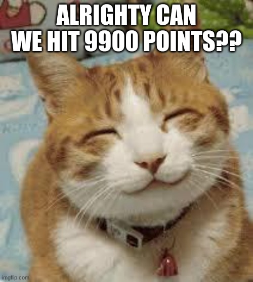 can we do it? | ALRIGHTY CAN WE HIT 9900 POINTS?? | image tagged in happy cat | made w/ Imgflip meme maker