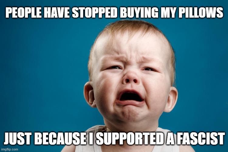 PEOPLE HAVE STOPPED BUYING MY PILLOWS; JUST BECAUSE I SUPPORTED A FASCIST | image tagged in fascism,pillow | made w/ Imgflip meme maker