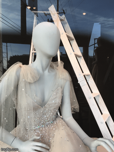 Monique Lhuillier Ladders: Klimb them to escape aging, rude people, and sidewalk sales. | image tagged in gifs,fashion,window design,monique lhuillier,ladders,brian einersen | made w/ Imgflip images-to-gif maker