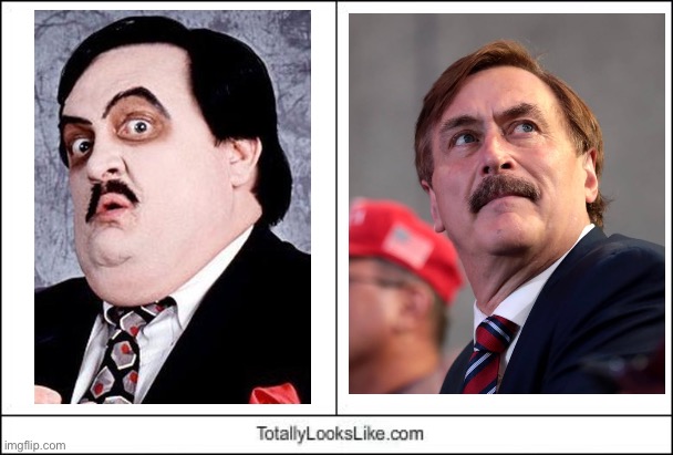 Pillow Guy | image tagged in totally looks like | made w/ Imgflip meme maker